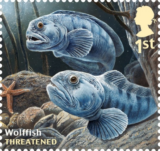 Royal-Mail-Fish-stamps-07