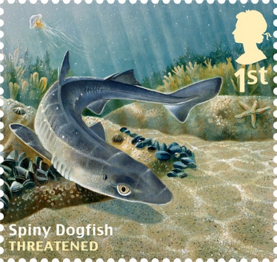 Royal-Mail-Fish-stamps-08