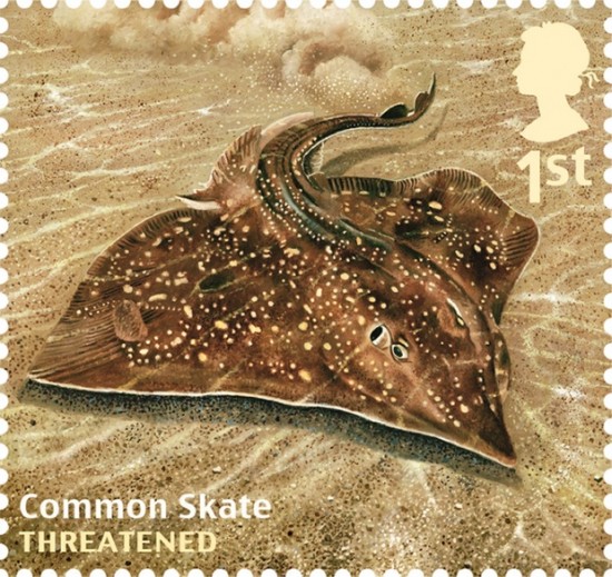 Royal-Mail-Fish-stamps-09