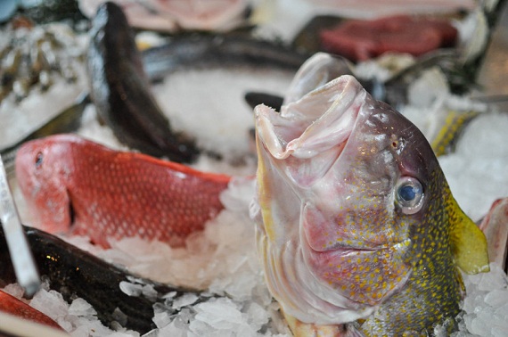 BlackSalt Fish Market & Restaurant, Washington, DC