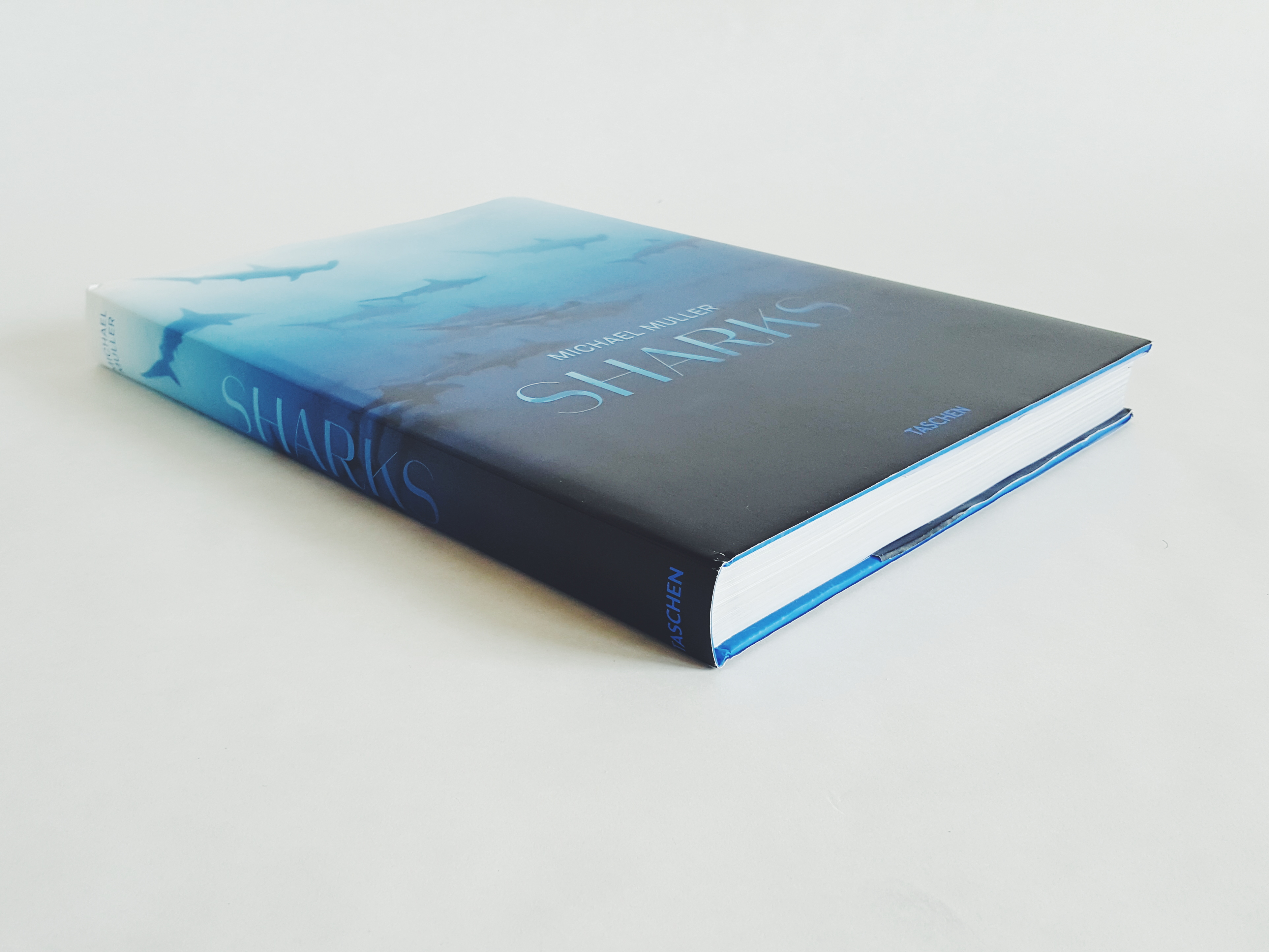 Processed with VSCO with f2 preset