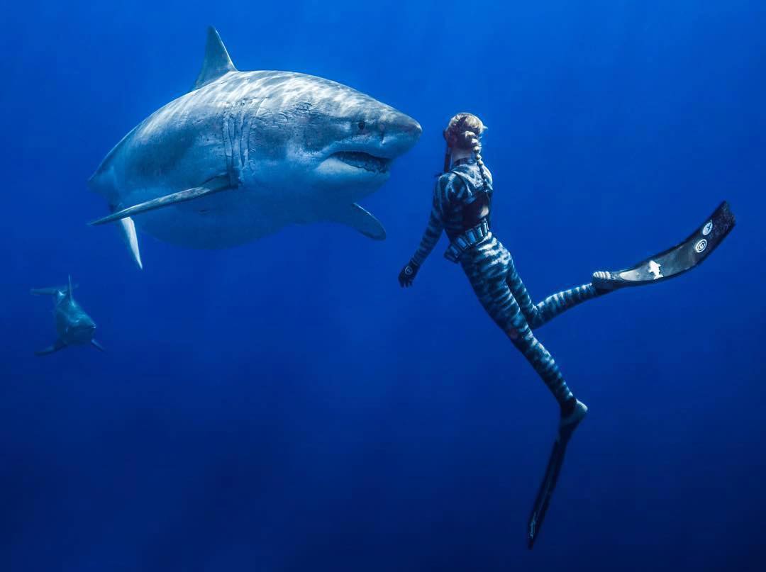 One Picture Two Stories With Ocean Ramsey & Juan Oliphant.